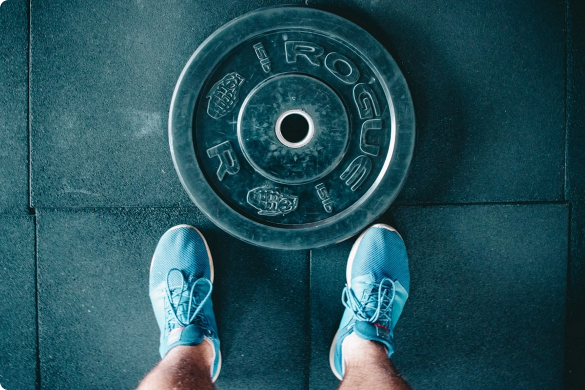Bio-Synergy gift guide: protein and supplements